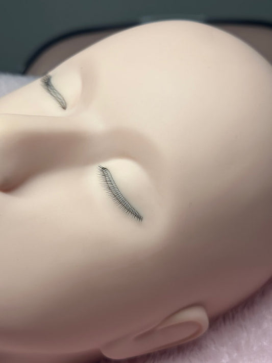 3 Layer Mannequin Head